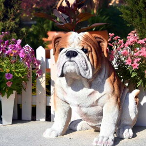 WOOBIA@uhbOu@킢u@̒u傫⌺ւɏgoodI{̂悤Ȓu