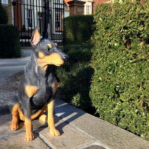 WOOBIA@h[x}@ʁ@̒uh[x}sbV@u@zXuA@^@Ԍ@q@Io[⌺֐ɒugoodI