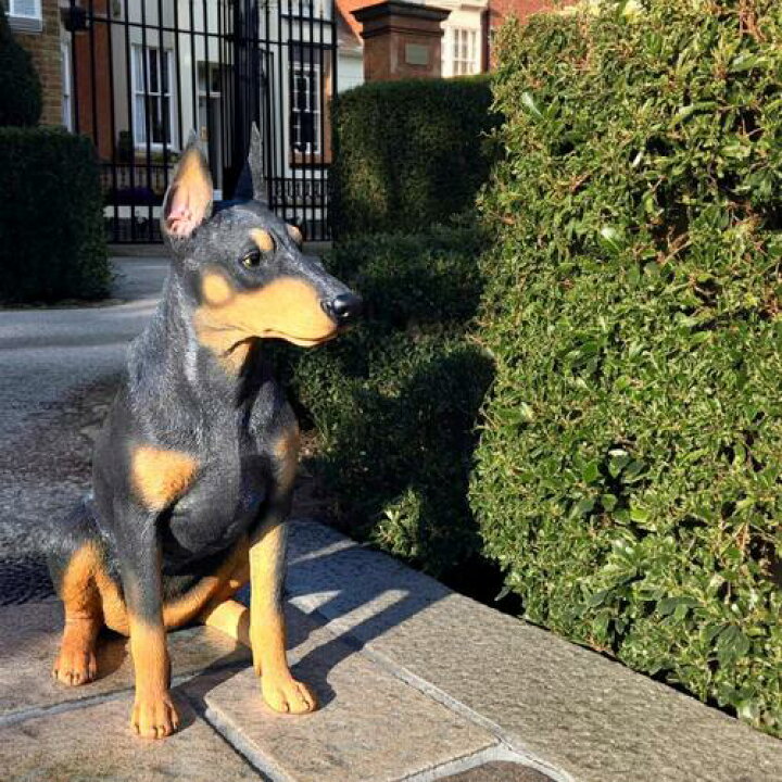 楽天市場】WOOBIA ドーベルマン いぬ 犬の置物ドーベルマンピッシャ 
