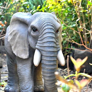 WOOBIA@()@]E̒u@AȒu@킢u@u@ہ@̃]E@ނ@⌺ւɏgoodI@{̂悤Ȓu