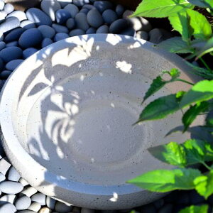 @Myā@ԁ@ԁ@@a@m@{뉀@̖@߂@_J@@@fUC@}CiXCI