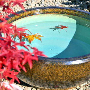 ic1\o@@Myā@ԁ@ԁ@@a@m@{뉀@̖@߂@_J@@@fUC@}CiXCI