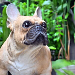 t`uhbOu@킢u@̒u@q@K񂨒⌺ւɏgoodI{̂悤Ȓu