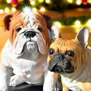 WOOBIA@uhbO@t`uhbO@muƍK@2Zbg@u@킢u@̒u@傫@AȒu@⌺ւɏgoodI@{̂悤Ȓu