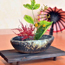 楽天市場】生け花 炭の通販