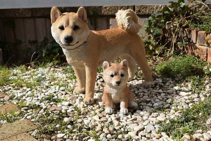 楽天市場 置物親子子犬犬置物親子 太郎と小太郎 柴犬子犬 園芸百貨店何でも揃うこぼんさい