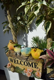ウェルカムバ－ド　かわいい4羽の小鳥WELCOME 　鳥　4羽南国のイメージ　