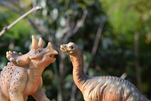 ~j`ATEXV[Y@@u@u@炭@gPgvX@uLITEX@CZbgւɏAɏBfXNɂu܂B