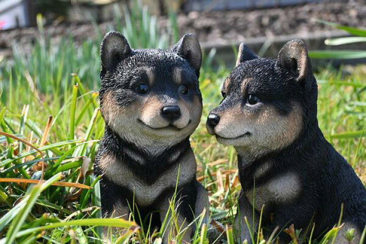楽天市場 豆柴 柴犬 犬 マメシバ豆柴の置物 置物 かわいい置物 小さい犬 子犬 豆太郎と柴子 二匹セットお庭や玄関に合います プレゼントにもどうぞ 園芸百貨店何でも揃うこぼんさい