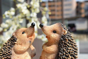 nlY~@~j@CZbgnlY~̒u@u@킢u͂˂݁@~jnlY~⌺ւ͂AɂBv[gɂǂB