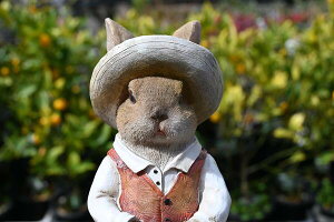 @g}g̒u@u@rbgg}g_Ɓ@Mr.TOMATO⌺ւ͂AɂBv[gɂǂB