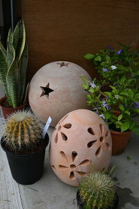 I[ig@X^[@@t[@ԃK[fXJv`[@@@2ZbgeRb^VzjȂǂ̃v[gɂǂB