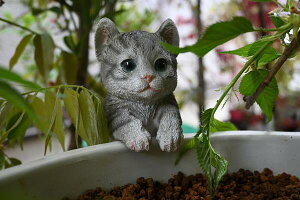 Ђ˂@L@lR@݁[˂̒u@|u@u⌺ւɒugoodBAȂǂɈ|Ƃ킢łB