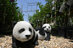 p_@2Zbgp_̒u@u@킢up_@qp_@Ƃ񂨒⌺ւɍ܂Bv[gɂǂB