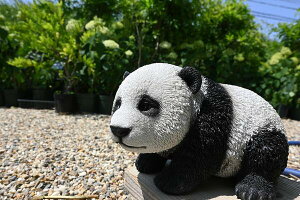 p_p_̒u@u@킢up_@qp_@񂨒⌺ւɍ܂Bv[gɂǂB