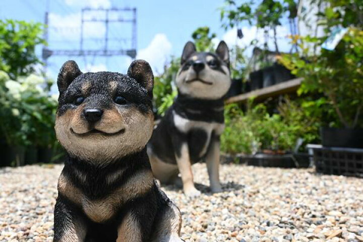 楽天市場】黒柴犬親子です 親子 黒い犬 2匹セット黒柴 犬の置物 リアル 