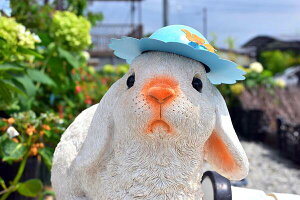 Xq̂@@Xq̒u@u@rbg@Mrs.r⌺ւ͂AɂBVzjȂǁAv[gɂǂB