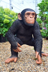 `pW[̒u@Ԃ؂AȒu@킢u@u`pW[@͂悢@⌺ւɏgoodI{̂悤Ȓu