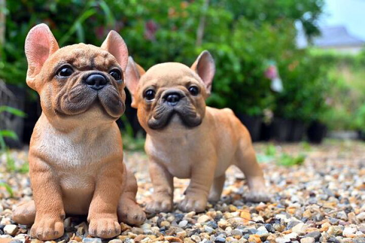 楽天市場 フレンチブルドッグ 2匹セット可愛い置物 犬の置物 赤ちゃんフレブル タロ ジロお庭や玄関先はもちろん お部屋にもどうぞ 園芸百貨店何でも揃うこぼんさい 楽天市場 フレンチブルドッグ 2匹セット可愛い置物 犬の置物 赤ちゃんフレブル タロ ジロお庭や玄関先はもちろん お部屋にもどうぞ 園芸百貨店何でも揃うこぼんさい