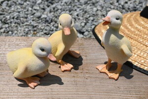 Ђ悱ƂЂ݂ƂЂӂ݂3Zu@킢u@qR̒u@qi@u⌺ւɏĂÃCeAƂĂ߂łBłA킢ł