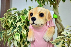 nK[ʁ@@ʂʂ̒u@݂艺u@u⌺ցAɏgoodB