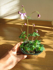 y2025N2׌AzF炫I_}LyR쑐z @My