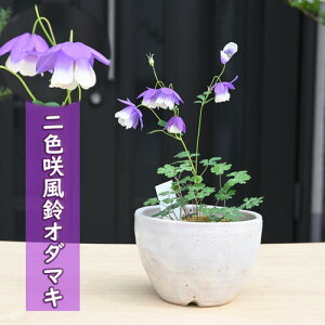 FI_}L A MyĔ R쑐 h N tEI_}L