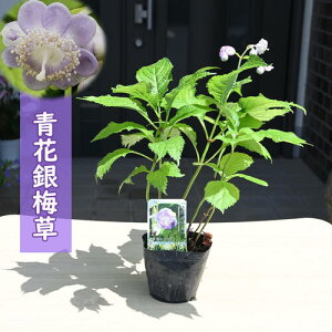 2024N6{J ԋ~ |bgc MoC\E R쑐 h