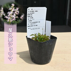 2024NNEW vVE} |bgc R쑐 N h