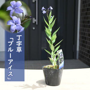 2024NNEW  u[ACX |bgc R쑐 N `EW\E h A\jA