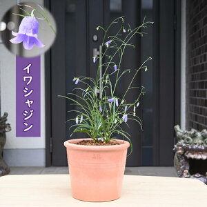 8蔭B10{J CVW A R쑐 N CcKl\E ⍹Q eRb^