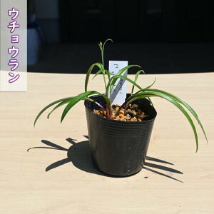 2025NNEW E`E |bgc R쑐 N H