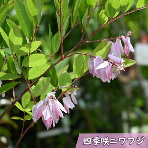 2025NNEW lGjtW |bgc 듡 ʖCtW