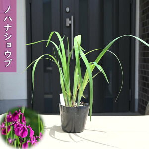 2025NNEW mniVEu |bgc R쑐 N ԏҊ