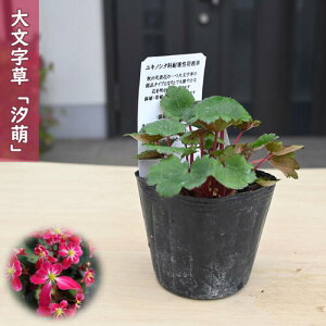 2025NNEW 啶 G |bgc  _CW\E R쑐 h