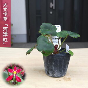 2025NNEW 啶 ͒Íg |bgc Âׂ _CW\E R쑐 h