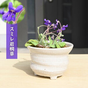 2025NNEW 俊ˑ A ~ X~CM\E N R쑐