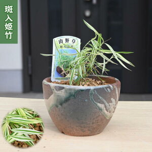 2025NNEW P| A ~ N R쑐