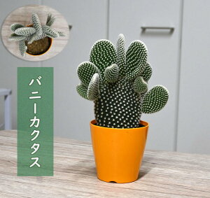 T{e oj[JN^X Iv`A A   E`T{e 