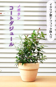 2023N9Jԃm{^@R[g_W[C^AeRb^ɓĂ̂͂v[gɂsb^ł