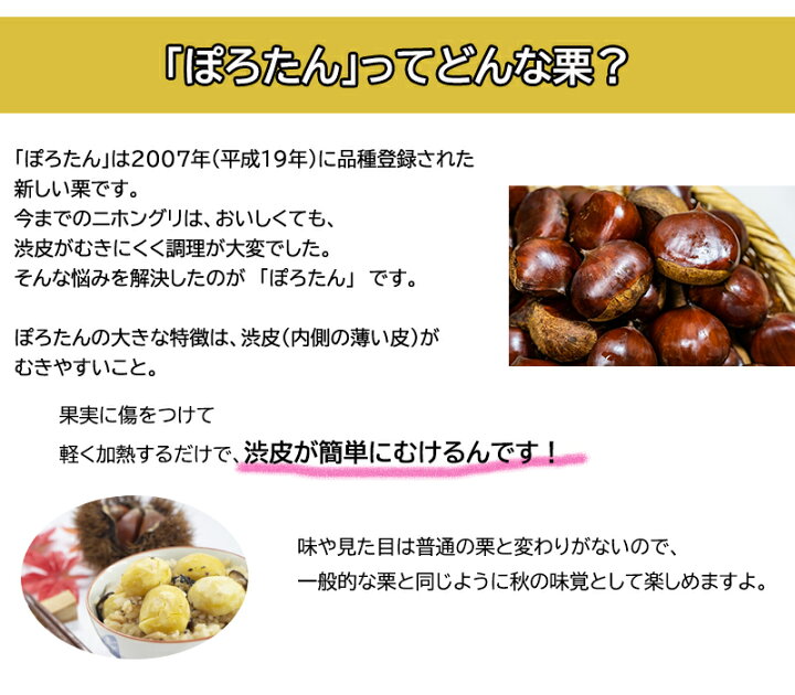 楽天市場】栗 苗木 ぽろたん 美玖里 2種セット くりの苗2年生 クリ苗 