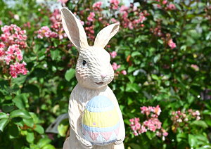 u@킢u@̒uoj[rbgC[X^[GbO⌺ւɏĂÃCeAƂĂ߂łB