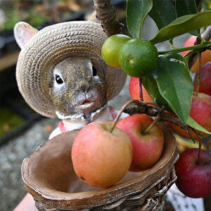 u炤@u̒u⌺֐ɁBv[gɂǂB