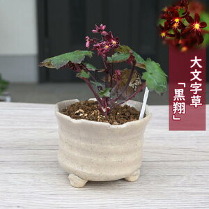 10J 啶  A _CW\E R쑐 h