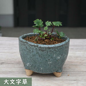 2023NNEW 啶 A _CW\E R쑐 h