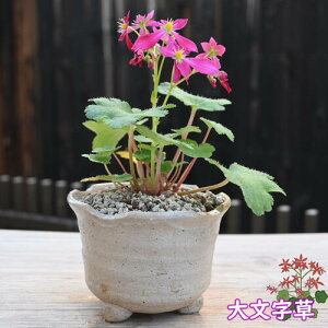 10J 啶 A _CW\E R쑐 h