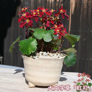 2024N10J 啶 gi A _CW\E xjcJT R쑐 h