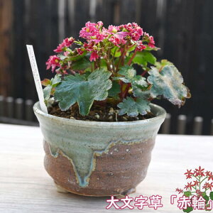 2025N10J 啶 ԗ A _CW\E R쑐 h