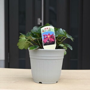 NEW 2024N10 啶 _ c _CW\E R쑐 h