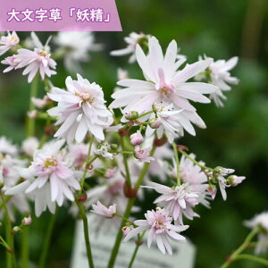 2024N10{J 啶 d A _CW\E R쑐 h eRb^